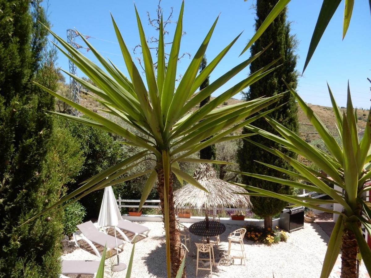 Bed And Breakfast Lagabella Sedella Екстер'єр фото